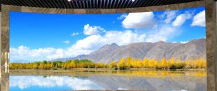 小間距l(xiāng)ed顯示屏未來(lái)的發(fā)展前景怎么樣？